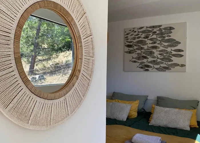 Fiore Di Machja - * Moncale